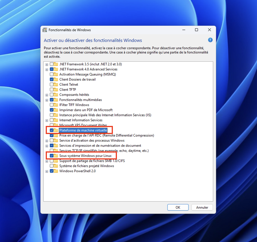 Check wsl and vm